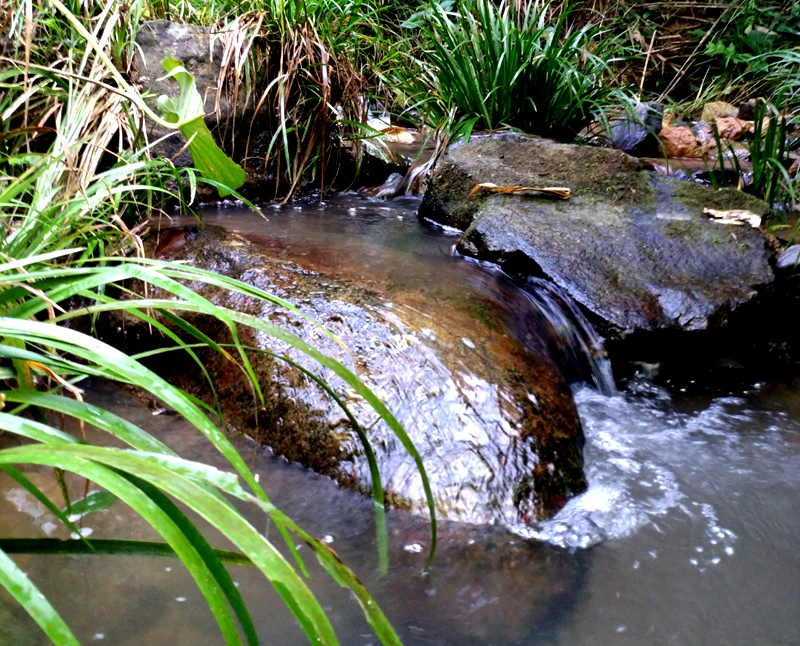 СϪ��ˮϺ��_��һ����