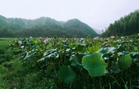 ����һ��